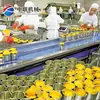 Equipo de Producción Totalmente Automático para Conservas de Fresa, Fabricante de Conjunto Completo de Equipo de Procesamiento de Piña enlatada