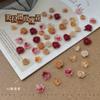50 celebridades en línea Maillard dos colores rosa rosa rosa floreciente tres dimensiones resina diamante joyería popular retro uña Diamante