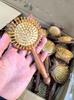 Pente de sândalo de pera perfumada de desenho animado Carai com cabeça de massagem com airbag de almofada de ar pente de meridianos do couro cabeludo