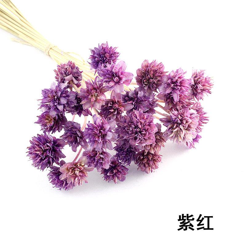 永生花紫红.jpg