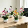 3 orquídeas phalaenopsis artificiais em um vaso brilhante com padrão de ondas de água, decoração de flores artificiais para fotografia interna e plantas verdes em vasos