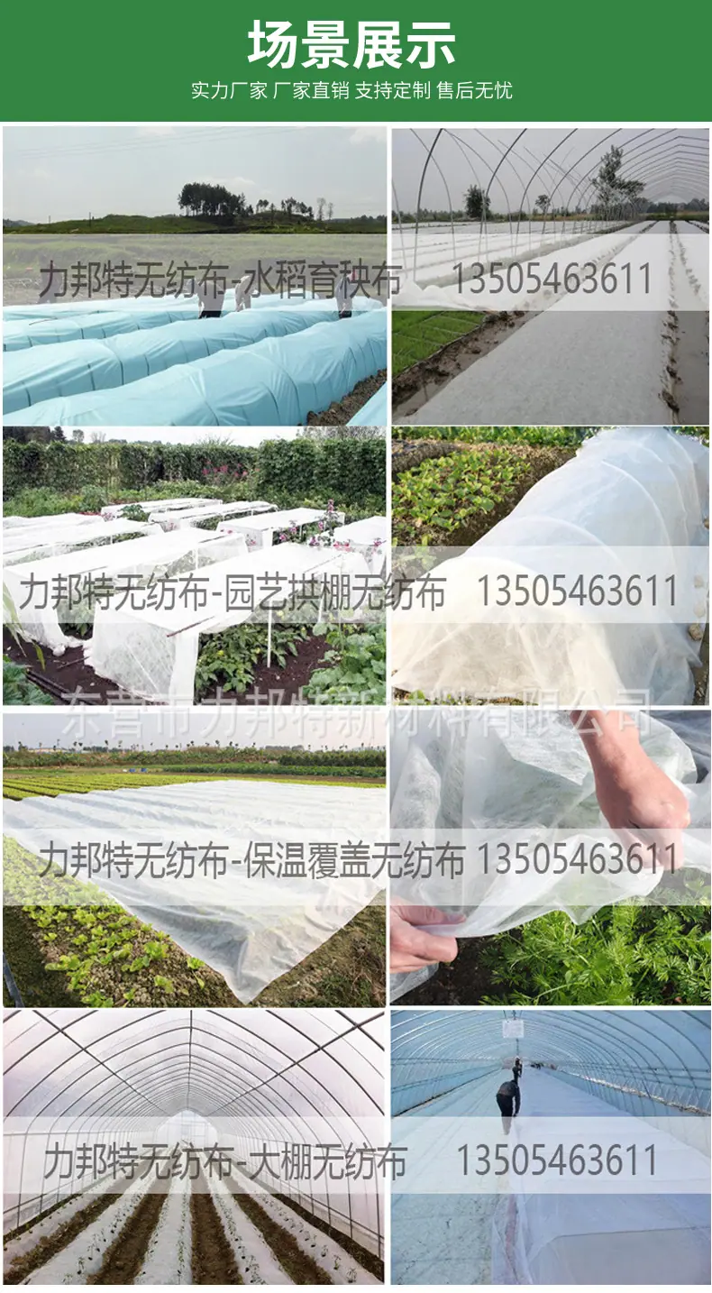 详情_06
