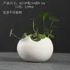 Cerámica Geyao cerámica agrietada hidropónico maceta pequeña sin agujeros maceta contenedor para plantas verdes maceta pequeña fresca de escritorio liquidación