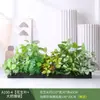 Paisagismo com Plantas Verdes Simulação Floreira Divisória de Piso Arte Floral de Chão Paisagem de Plantas Combinação de Floreira Flor Artificial em Vaso Bonsai Decoração