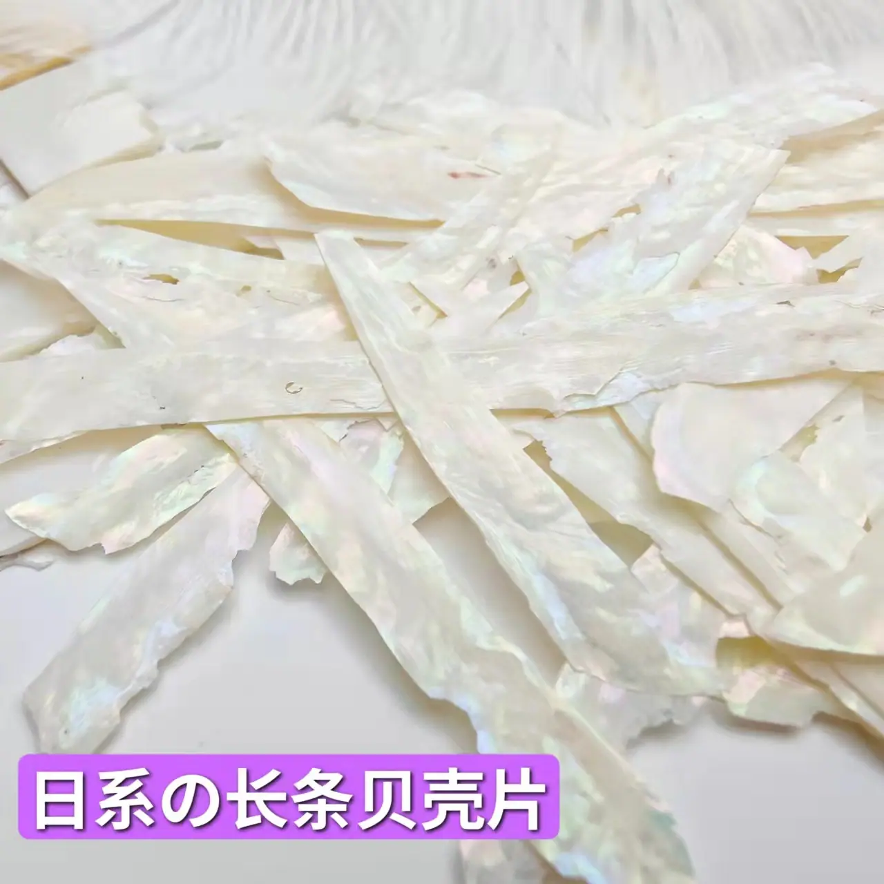 微信图片_20211104144231.jpg?x-oss-process=image/format,png