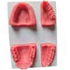 Venda Quente Ferramentas de Ensino e Treinamento Bloco de Sutura de Dente e Gengiva Módulo de Prática de Sutura Oral Fabricante