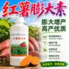 Camote Batata Control Wang Agente Hinchador Fertilizante Especial para Raíces y Tallos Subterráneos Fertilizante Foliar Papa Taro Camote Universal