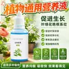 Solución nutritiva planta universal rábano verde rico bambú árbol de la fortuna carnoso cultivo de agua flores plantas verdes maceta flor fertilizante