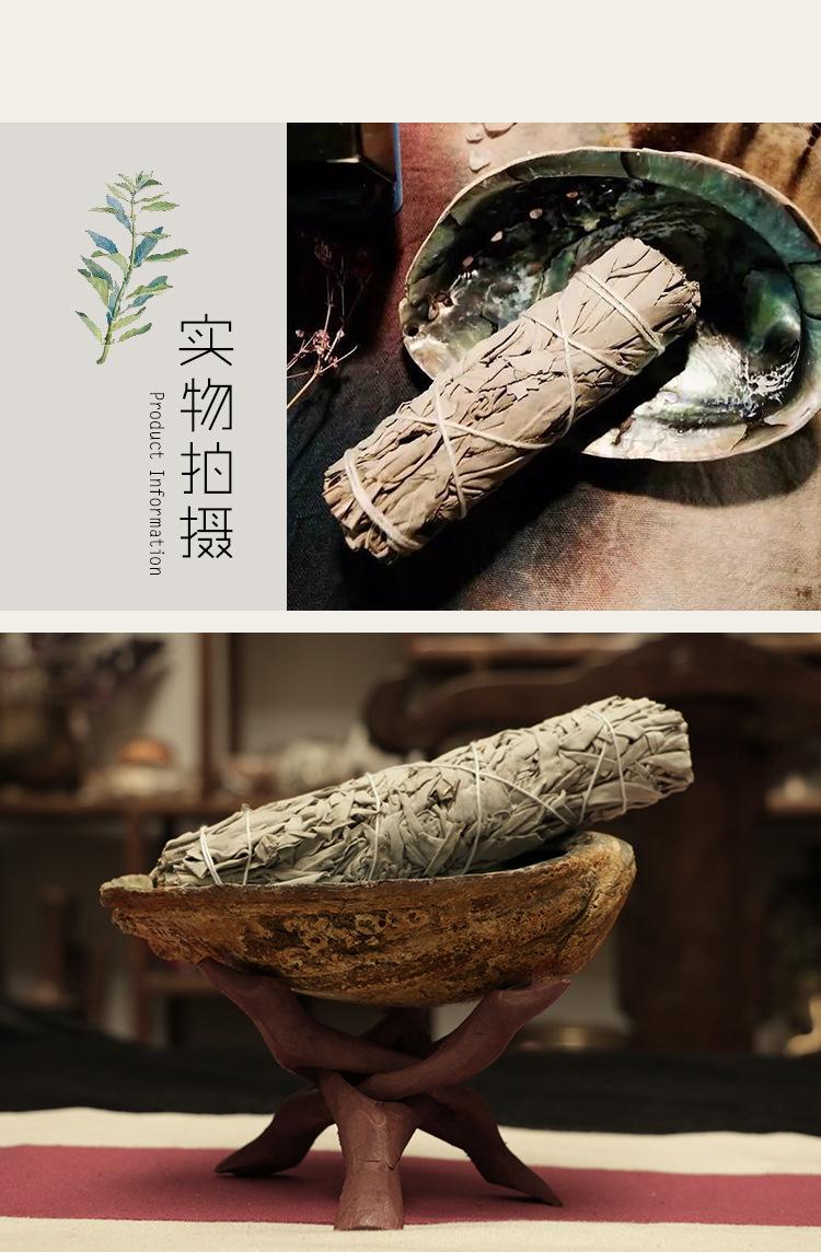鼠尾草_10.jpg