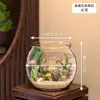 Aquário de Mesa Transparente Grande, Tanque Espessado para Tartaruga, Aquário para Peixe Dourado, Aquário de Plástico Hidropônico Anti-Queda para Sala de Estar, Tanque Ecológico para Paisagismo