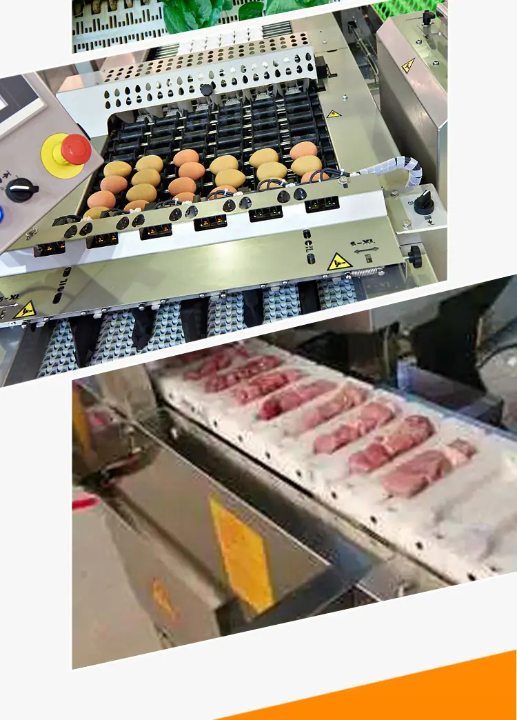 OPB系列塑料网带_06.jpg