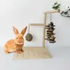 Juguete de Rueda de Amolar para Conejo con Soporte y Cuerda para Masticar, Bola de Hierba para Roer Chinchillas, Set de Cuerda Colgante de Pastel de Hierba de Madera de Manzano