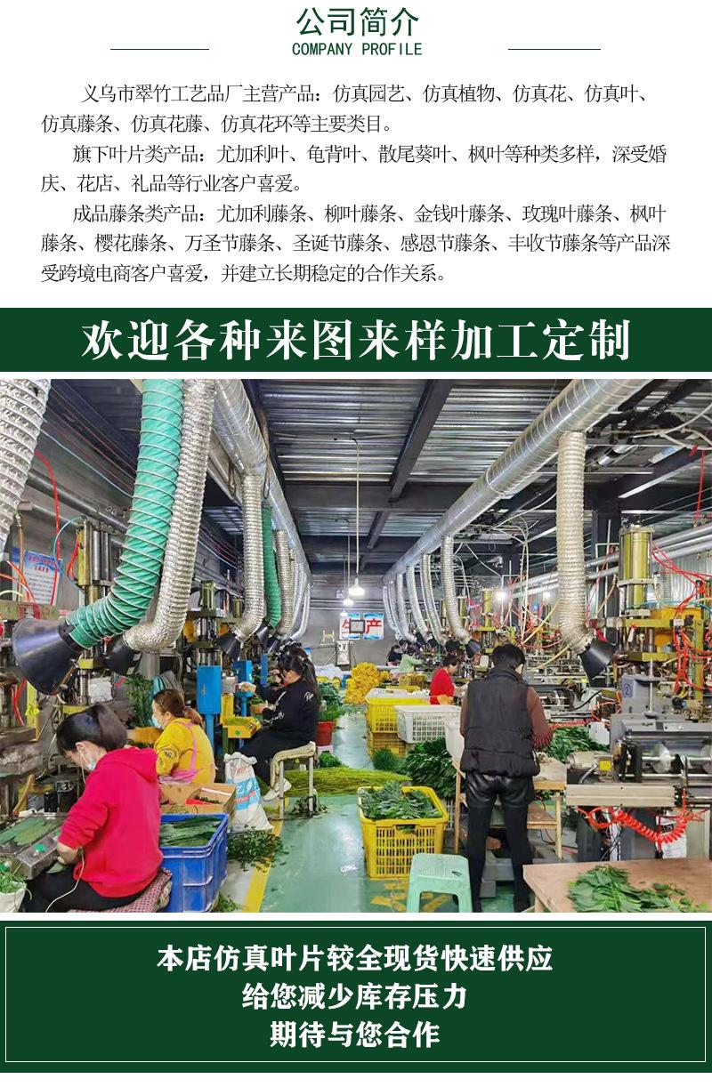 竞争力和公司介绍