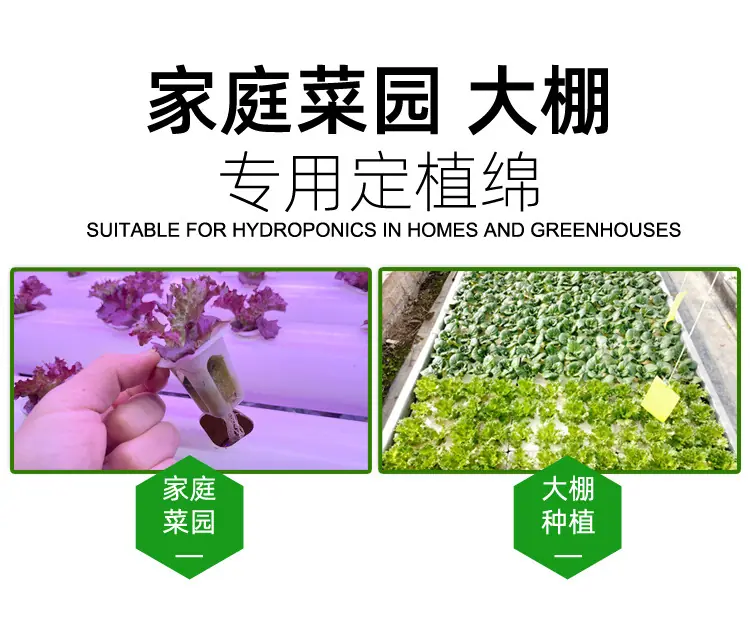 定植绵详情_02.jpg