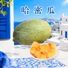 Melão Hami de Shandong, Atacado Tamanho 4-5/ 4-4,5kg, Melão Doce Mel de Xizhou, Suculento e Crocante, Caixa Colorida Fruta Fresca