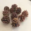 Envío Gratis 30 Piñas Flores Secas Decorativas Hecho a Mano Paquete de Materiales Creativos DIY Decoración del Hogar Ramas Secas Piñas Escama de Pez