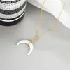Colar Lua com Concha do Mar Novo 2022: Exquisita Corrente para Clavícula de Luxo Leve Estilo Francês com Toque de Alto Padrão, Design Exclusivo