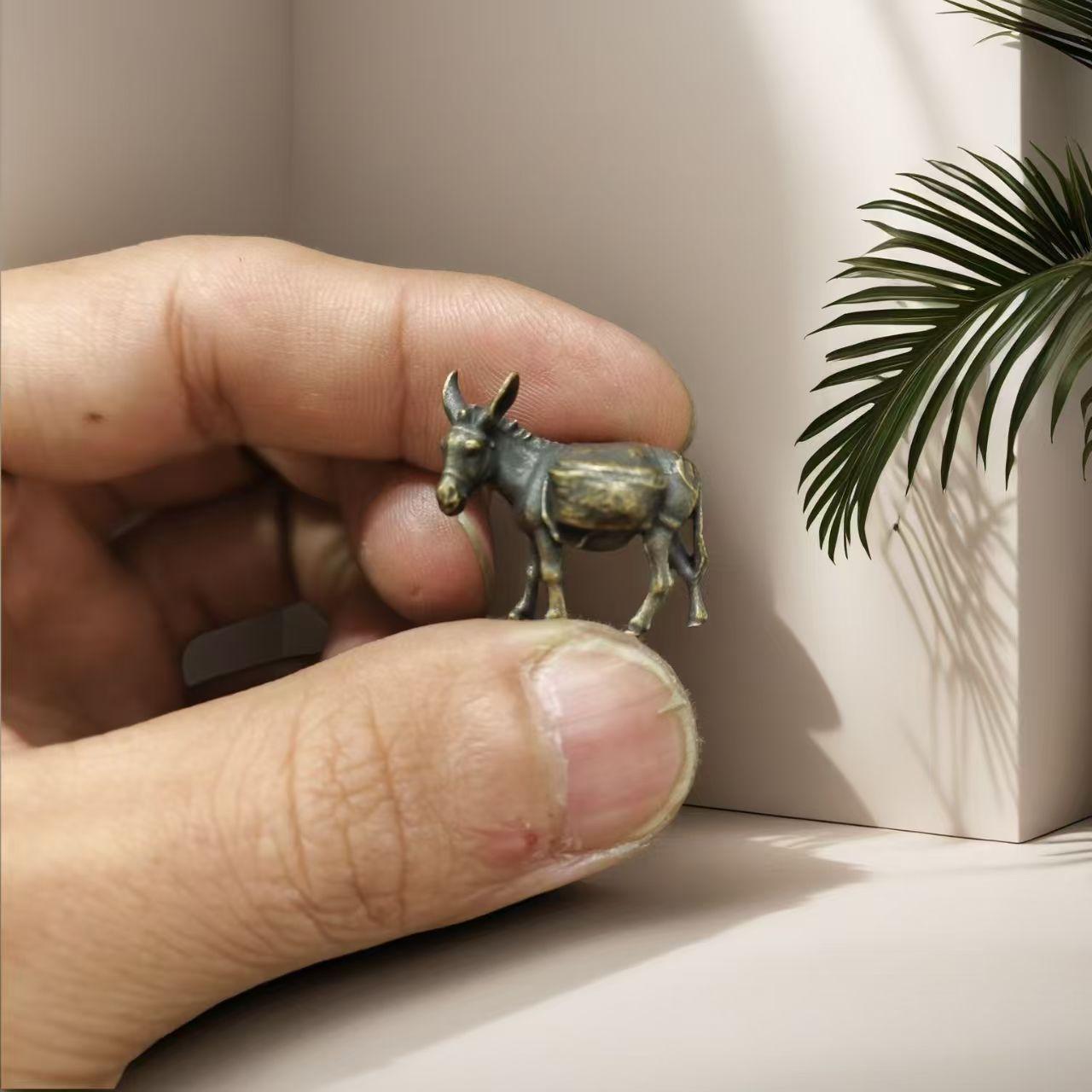 毛驴