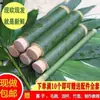 Tubo de Bambú Molde para Zongzi Especial para Puesto Fresco Comercial Casero Tubo para Envolver Zongzi Molde para Arroz de Tubo de Bambú Herramienta para Arroz de Cubo de Bambú