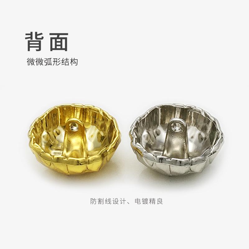 背面、颜色
