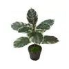 Flores Artificiales y Plantas Verdes Bonsái para Sala de Estar y Escritorio de Oficina, Macetas de Flores Falsas, Decoración de Plantas Artificiales de Interior, Plantas Bonsái Pequeñas