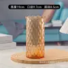 Frasco de almacenamiento de vidrio de sodio-calcio, jarrón para flores de cultivo en agua, decoración de sala de estar estilo ins de lujo ligero, frasco de almacenamiento de vidrio de lujo ligero