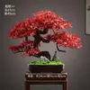Novo Bonsai Artificial Estilo Chinês Inspirado em Zen Pinheiro Acolhedor e Pinheiro Arhat para Decoração de Escritório, Sala de Estar e Hall de Entrada