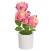 Flor Rosa Musgo Em Vaso Restaurante Mesa de Jantar Recepção Mesa de Janela Pátio Jardim Decoração