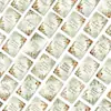 Conjunto Transfronteiriço de 36 Cartões de Gratidão com Tema de Outono, Materiais de Journaling Estilo Ins, Cartões de Texto para Decoração de Parede