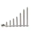 En Stock, Envío Inmediato: Tornillos Autorroscantes de Acero Inoxidable 304 con Cabeza de Pan Phillips M1~M6.3 Tornillos con Cabeza de Pan Phillips y Punta de Cola