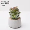Planta de Cactus Artificial Simple en Maceta Decoración de Escritorio de Oficina Planta Verde Falsa Adorno de Cactus Planta Suculenta Artificial en Maceta
