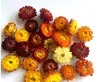 Ramo Hecho a Mano de Crisantemos de Paja de Trigo, Margaritas Pequeñas, Flores Secas Naturalmente, Crisantemos Coloridos, Espigas de Trigo, Decoración del Hogar, Venta al por Mayor desde Yunnan