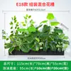 Serie E Maceta Decorativa de Flores Artificiales Verdes Decoración de Caja de Flores Canaleta de Flores para Exteriores Planta Simulada Combinación de Tira Larga Decoración de Valla