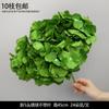 Decoración de Flores Artificiales Verdes Material de Flores de Hoja de Manzana Flor Exterior Planta Verde Hermoso Arreglo Chen Simulación de Hoja de Tortuga Arte Floral para Boda