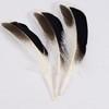 Venta al por mayor del fabricante Plumas Pequeñas de Faisán DIY Tocado de Plumas de Faisán Broche Sombrero Zapatos Artesanías Materiales de Decoración