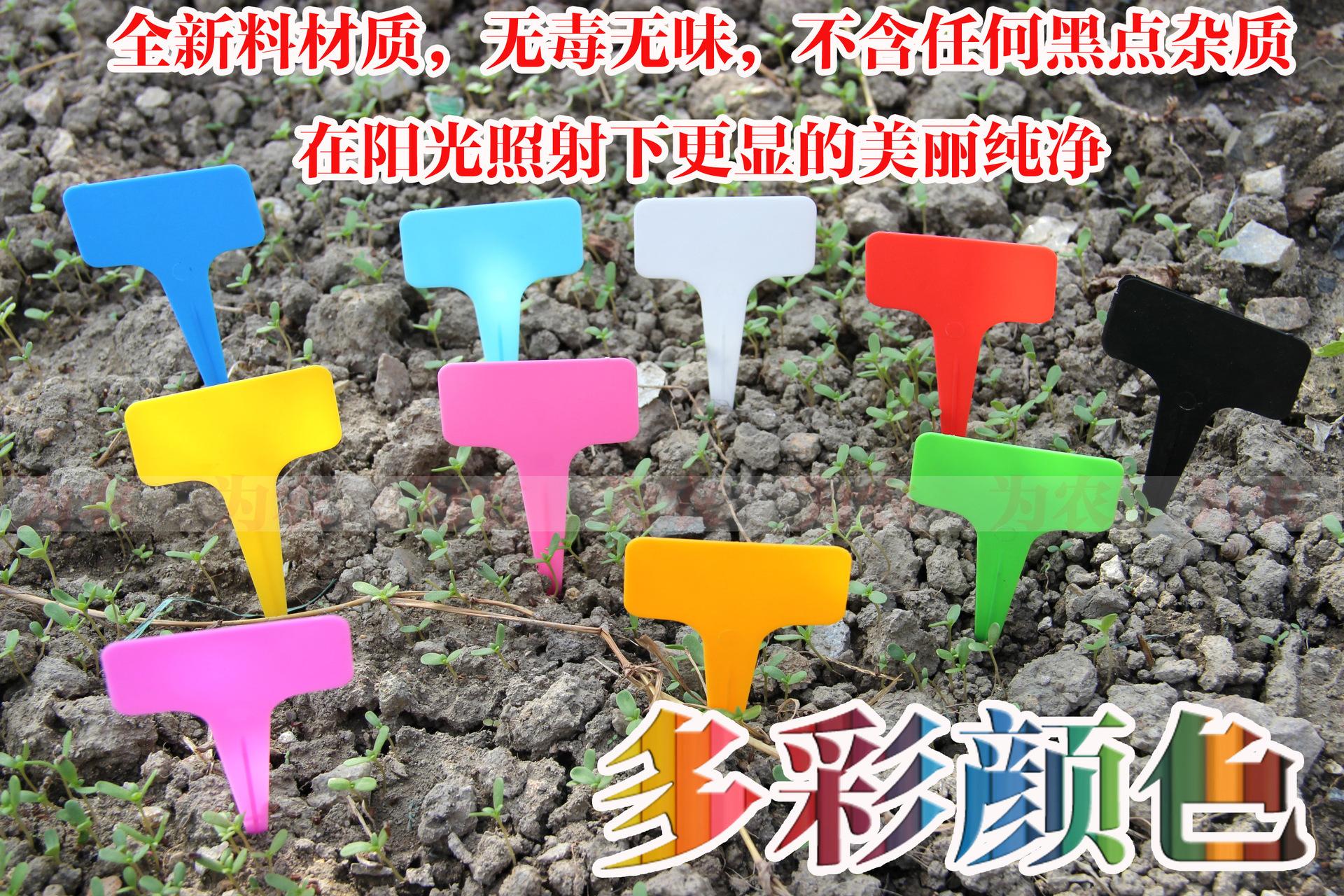 照片 880