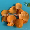 Artesanías de Caracolas Naturales Vendidas por Libra para Acuarios, Fotografía, Educación de Estudiantes y Niños, Minería y Uso Marino