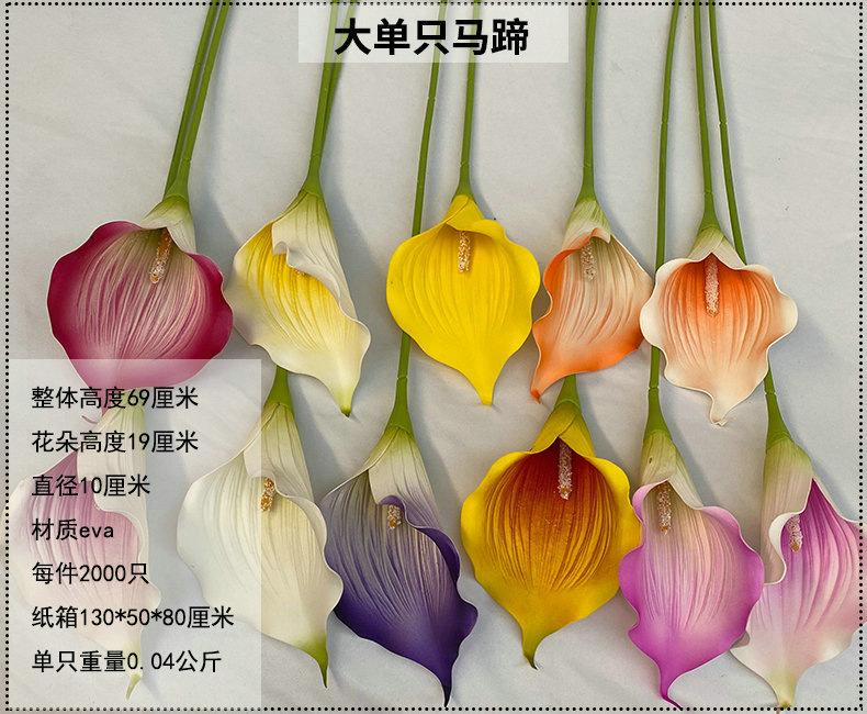产品信息图-大单只马蹄.jpg