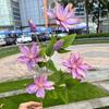 Nueva fábrica de flores de simulación 3D, 6 clemátides de poste alto, Anoectochilus, decoración suave para el hogar, flores falsas al por mayor