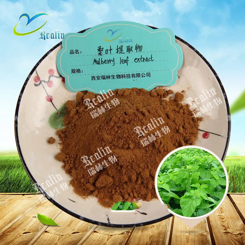 桑叶提取物原料+粉末1