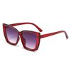 Gafas de Sol con Bisagra de Metal 2026 Nuevas Gafas de Sol de Montura Grande al por Mayor para Mujeres y Hombres, Montura Grande Estilo Europeo y Americano Gafas de Sol Transfronterizas
