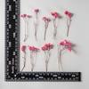Hierba de cristal hecha a mano diy flor flor en relieve bolsa de material con ramas y hojas pegamento de tiempo material de gema flor seca