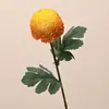 Simulação Ping Pang Crisântemo Crisântemo Cebola Bola Simulação Flor Decoração de Casamento Arranjo de Flores Material Floral Sala de Amostras Micro Paisagismo Flor Artificial