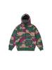 2025 otoño e invierno nuevo estilo europeo y americano moderno callejero cárdigan con cremallera y capucha con estampado de letras de doble gorro