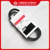 Motor Cummins Nt855 Banda Transportadora en V 178623 3040303 3807116