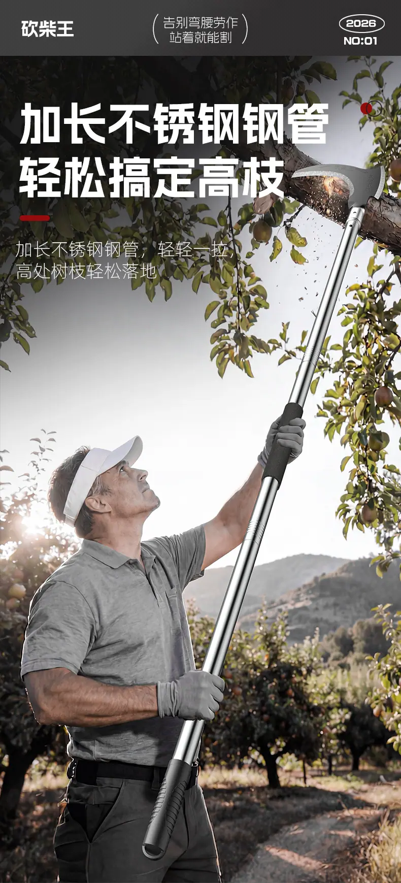 详情_03.jpg