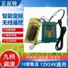 Controlador de Pulverizador Eléctrico Control Único Control Doble 48V60V12V220V Alto Voltaje Agrícola Bomba de Tres Cilindros Motor Control Remoto