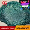 Pinheiro verde escuro polarizado glitter nail art verde escuro polarizado pó artesanato parcial ouro pintura mágica ouro verde atacado