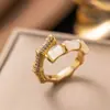 Anillo de Zirconia Micropavimentada Nuevo Transfronterizo Celebridad de Internet para Mujer, Anillo de Dedo Índice de Lujo Ligero de Moda de Gama Alta para Mujer con Apertura Ajustable