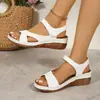 Comercio exterior 2024 sandalias nuevo diseño color suela gruesa moda estación independiente sandalias talla grande zapatos de mujer cinturón mágico zapatos de mujer ligeros
